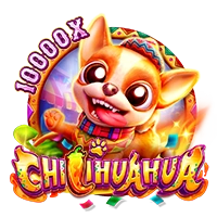 Chillihuahua